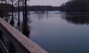 Bkie and footpath bridge around Greenfield Lake in Wilmington