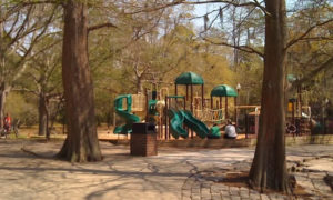 Playground at Greenfield Lake in Wilmington NC