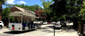 Horse Carriage in Downtown Wilmington
