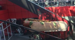 Phish Hot Dog at Rock and Roll Hall of Fame